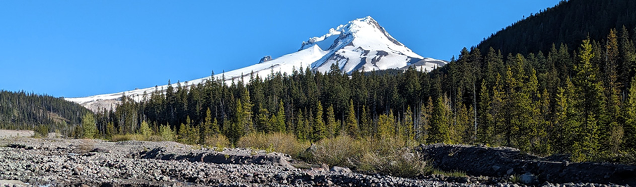 Image of a mountain against blue sky with forest and rocky shoreline.