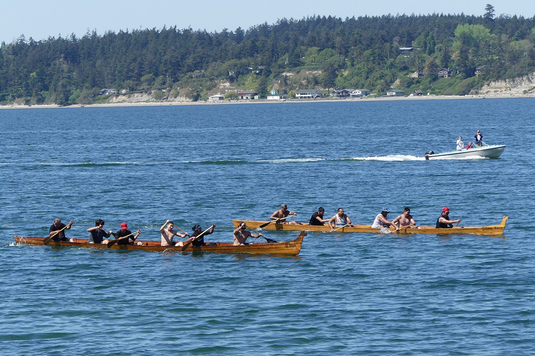 Canoe races during the Penn Cove Water Festival 2023